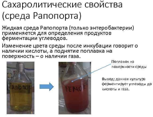 Анализы на кишечную инфекцию, стафилококк, брюшной тиф. Какие, как сдавать у ребенка, как называется, что это такое, как берут, цена