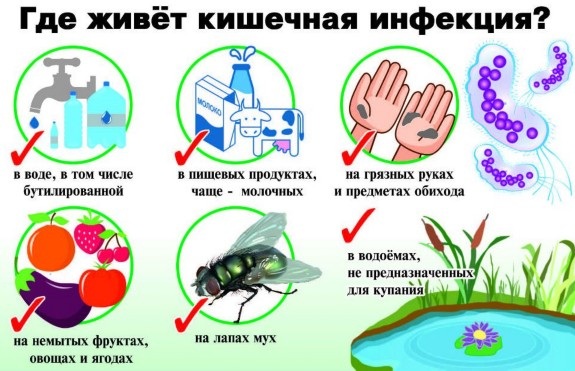 Анализы на кишечную инфекцию, стафилококк, брюшной тиф. Какие, как сдавать у ребенка, как называется, что это такое, как берут, цена