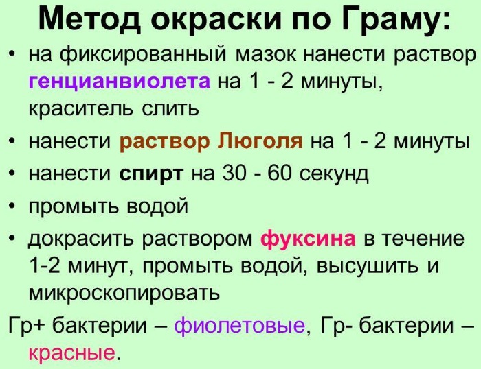 Анализы на кишечную инфекцию, стафилококк, брюшной тиф. Какие, как сдавать у ребенка, как называется, что это такое, как берут, цена