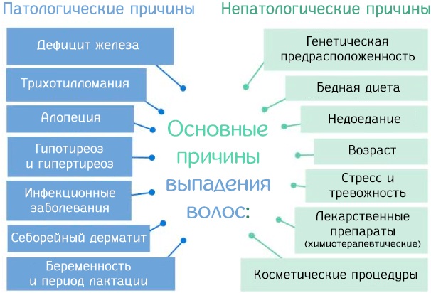 Анализы при выпадении волос у женщин. Список, цены, отзывы