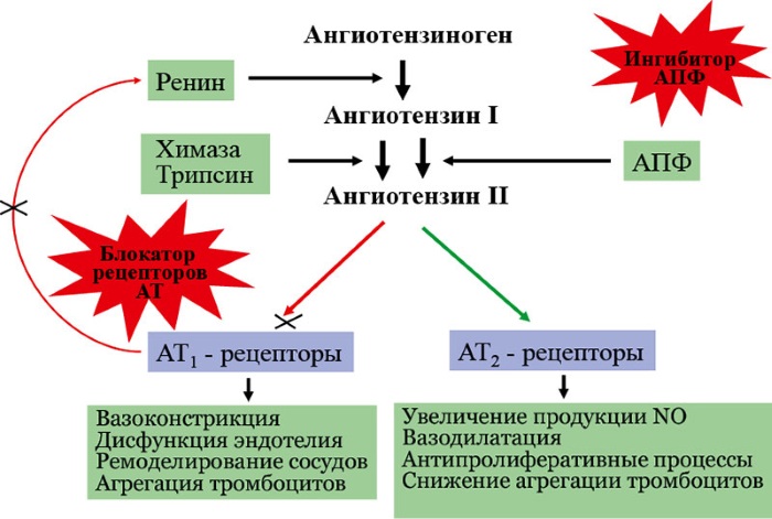 Телсартан Н 40-80 мг. Инструкция по применению, цена, отзывы
