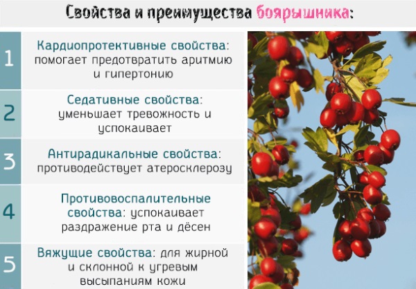 Синусовая тахикардия сердца. Что это такое, симптомы, как лечить у женщин, детей