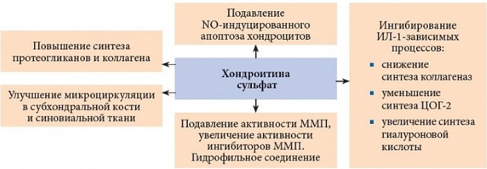 Артра (Artra). Отзывы больных применяющих этот препарат, инструкция, аналоги, цена