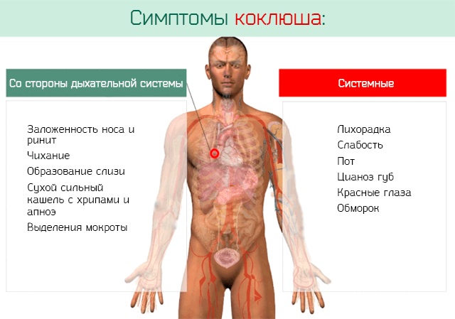 При дыхании слышен свист в бронхах, носу, горле у взрослого, ребенка, что значит, чем лечить