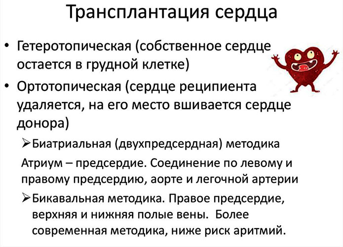 Атеросклероз сосудов сердца. Симптомы и лечение у пожилых людей, причины