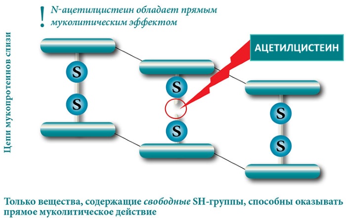 Флуимуцил (Fluimucil) шипучие таблетки. Цена, инструкция по применению детям, взрослым
