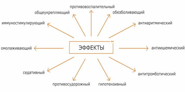 Бишофит. Применение в домашних условиях: аппликации, ванны при онкологии, пяточной шпоре, варикозе, артрозе. Свойства, инструкция, показания, противопоказания