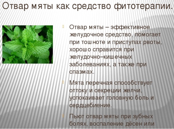 Болезни желчного пузыря у женщин, мужчин и детей. Симптомы и лечение народными средствами, препараты