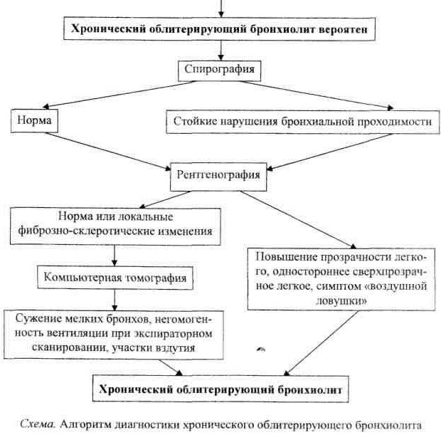 Бронхиолит. Симптомы и лечение у взрослых, что это, клинические рекомендации