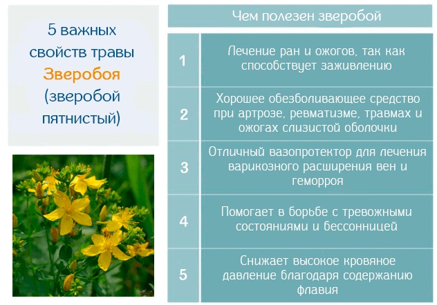 Волосы на спине у девушек. Фото, что делать