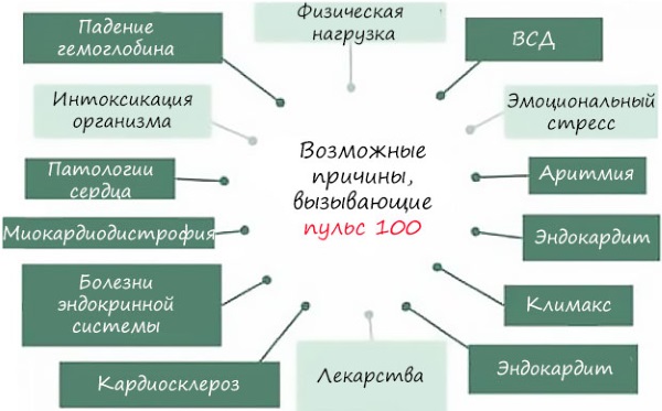 Частота сердечных сокращений. Норма у взрослых, детей. Как измерить, препараты, снижающие и повышающие частоту
