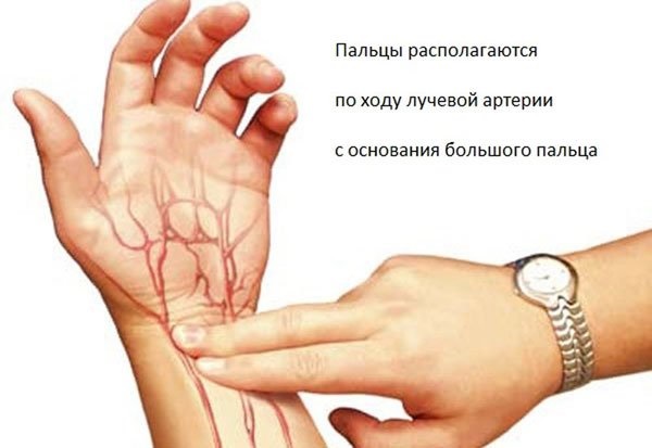 Частота сердечных сокращений. Норма у взрослых, детей. Как измерить, препараты, снижающие и повышающие частоту