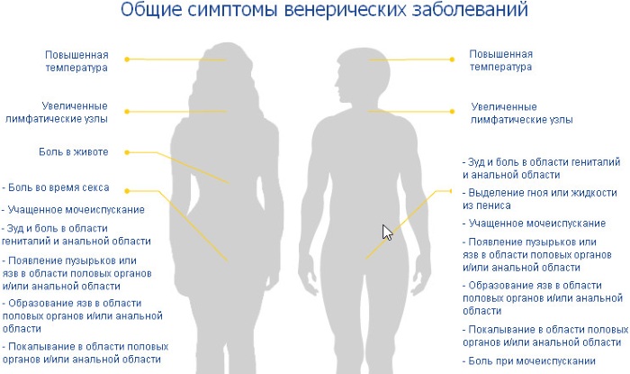 Частые позывы к мочеиспусканию у женщин. Причины и лечение без боли, ложные, резкие, ночные, болезненные перед месячными, после родов