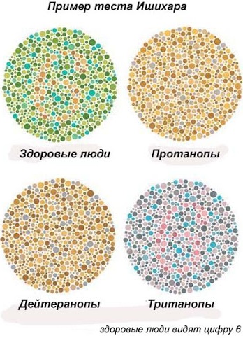 Очки для дальтоников. Цена, где купить, как работают, отзывы