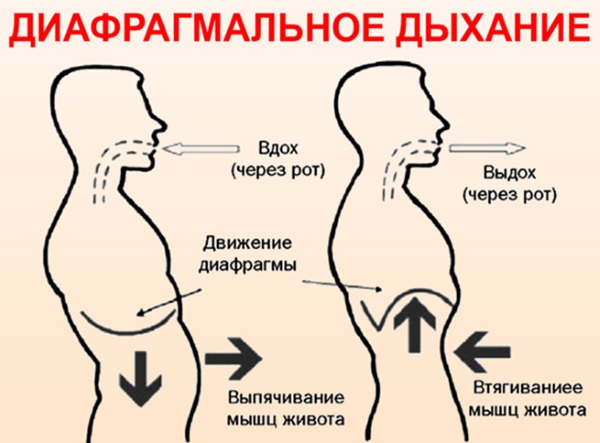 Диафрагмальное дыхание. Как выполнять упражнения, польза и вред, противопоказания