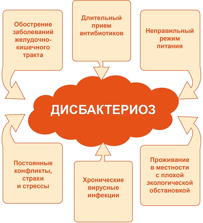 Дисбиоз кишечника. Что это такое у женщин, мужчин и детей. Симптомы и лечение
