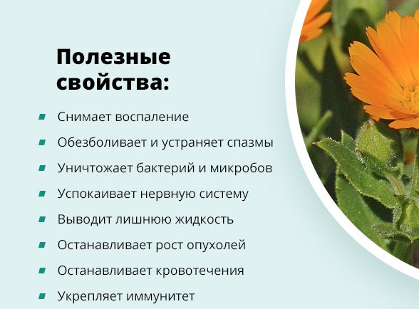 Дисгидроз кистей рук и стоп. Фото у детей, лечение, народные средства