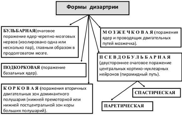Дизартрия в логопедии. Что это такое у взрослых, детей, виды, как лечить, причины