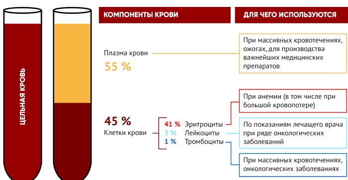 Донорство крови. Плюсы и минусы для организма, как часто можно, сколько платят, требования