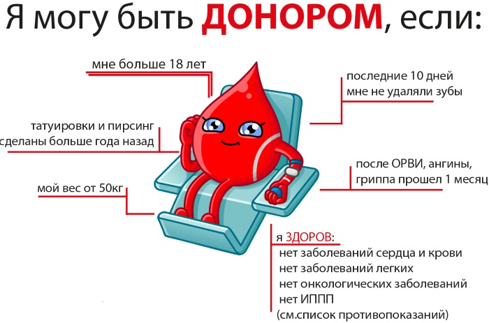 Донорство крови. Плюсы и минусы для организма, как часто можно, сколько платят, требования