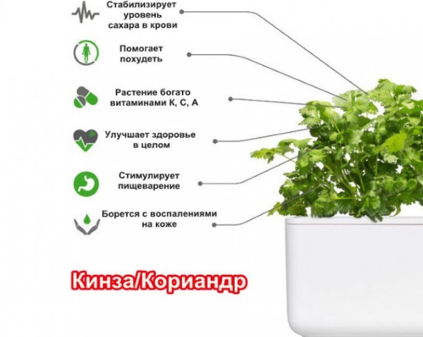 Экзема на руках. Как вылечить навсегда народными средствами, мазями. Диета, образ жизни
