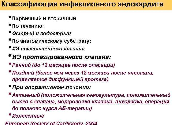 Эндокардит у взрослых. Симптомы, диагностика и лечение