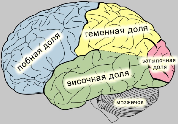 Эпилепсия у детей. Причины возникновения, симптомы, лечение, клинические рекомендации