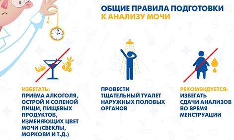 Эпителий плоский в моче повышен у женщин при беременности, ребенка, мужчин. Что это значит, причины, лечение