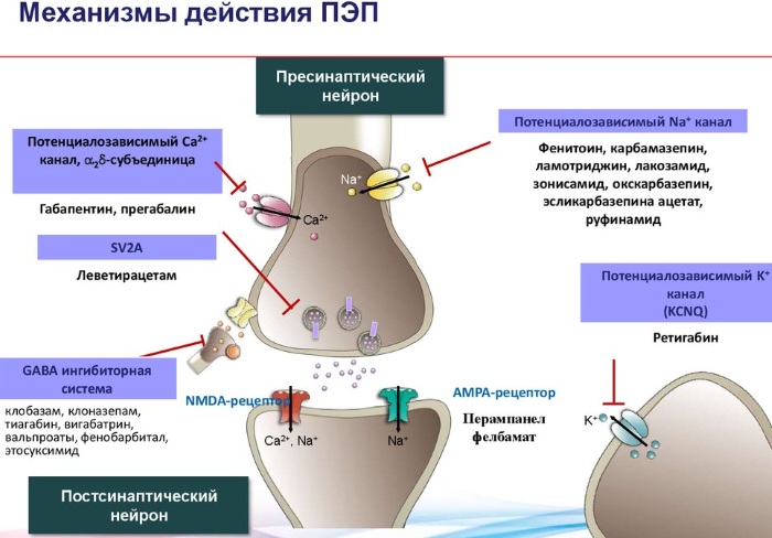 Габапентин Канон. Что это такое, инструкция по применению, для чего нужен, цена