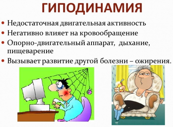 Гепапротекторные препараты для печени. Перечень, список, цены, отзывы