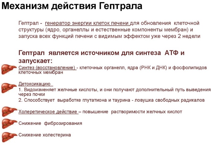 Гептрал (Heptral) в таблетках. Цена, инструкция по применению, аналоги, дозировка