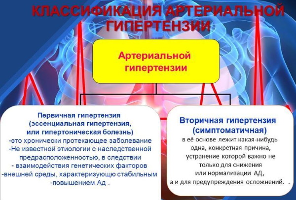 Гипертоническая болезнь. Стадии, степени, риски, причины и лечение, клинические рекомендации