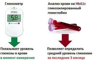 Гликозилированный гемоглобин. Что это такое, норма, расшифровка, как понизить