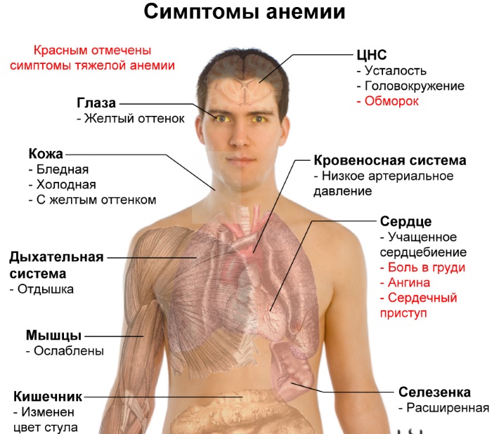 Гликозилированный гемоглобин. Что это такое, норма, расшифровка, как понизить