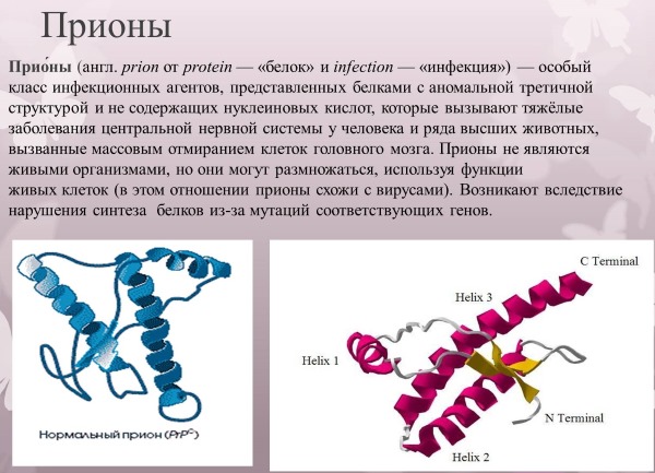 GRA в анализе крови. Что это такое, расшифровка, норма у женщин, детей, мужчин. Что означает, что делать