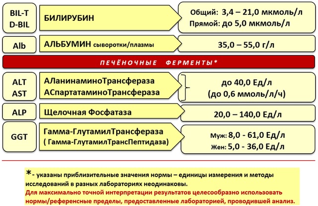Густая желчь. Причины и лечение, симптомы, что делать, лекарства, диета