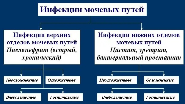 Инфекции мочевыводящих путей у женщин. Симптомы, лечение, препараты при беременности