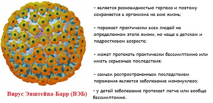 Инфекционный мононуклеоз у детей. Симптомы, лечение, клинические рекомендации, последствия