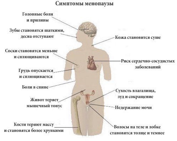 Как начинается менопаузы (климакс) у женщин. Симптомы, длительность цикла