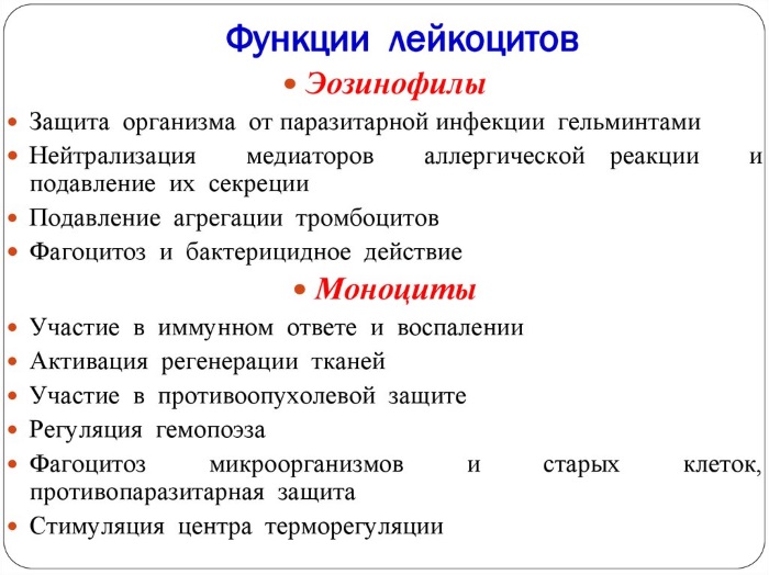 Как поднять лейкоциты в домашних условиях народными средствами, препаратами после химиотерапии