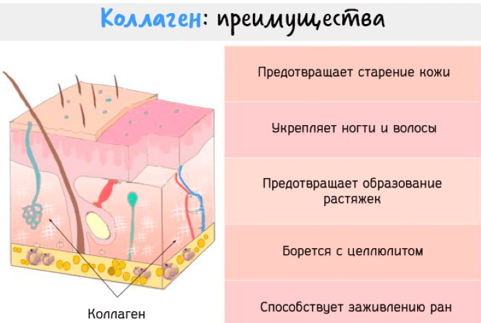 Коллаген в порошке. Как пить правильно, польза и вред применения, противопоказания
