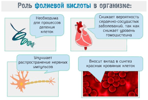 Витамин B9 в ампулах. Инструкция по применению, цена
