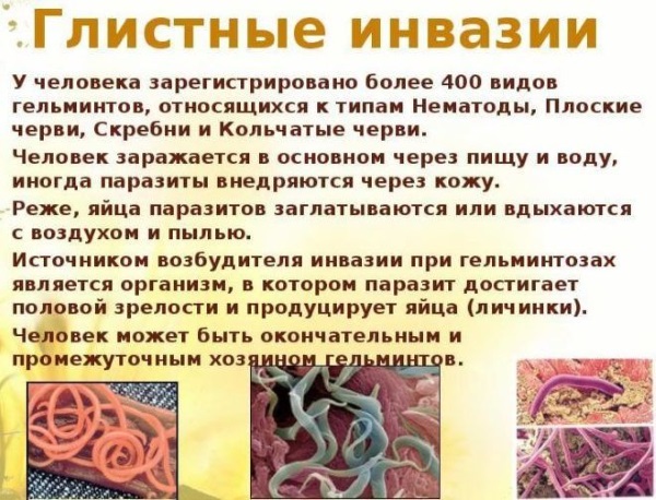 Кожный зуд у пожилых людей. Причины и лечение народными средствами, мази, витамины