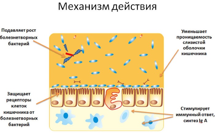 Лекарство от диареи у взрослых и отравлении. Названия дешевых, цены, как принимать