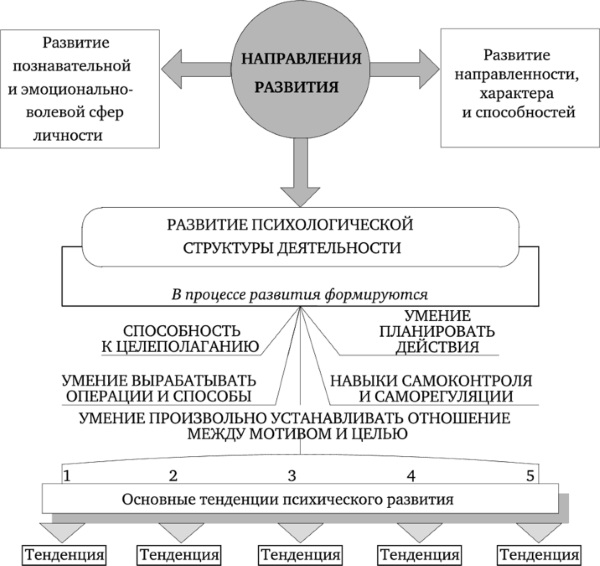 Личность в психологии. Что это такое, развитие, типы по Асмолову, Аверину, Ковалеву, Слотиной