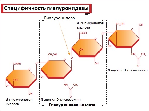 Лидаза свечи. Инструкция по применению, цена, аналоги, отзывы