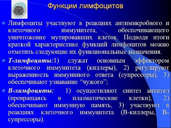 Лимфоциты повышены у ребенка в крови, нейрофилы понижены. О чем это говорит, норма по возрасту, таблица. Причины, симптомы
