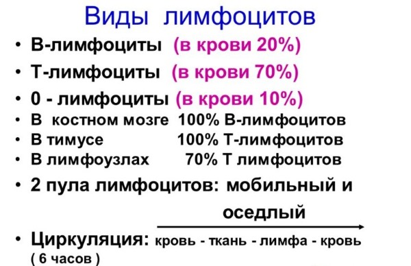 Лимфоциты повышены у ребенка в крови, нейрофилы понижены. О чем это говорит, норма по возрасту, таблица. Причины, симптомы