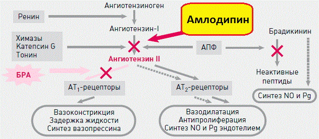 Лозап АМ (Lozap AM) 5+50-100. Инструкция по применению, цена, отзывы