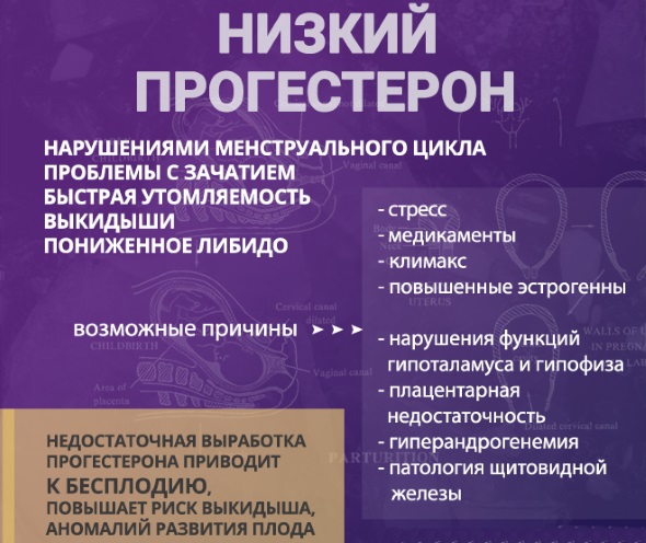 Лютеиновая фаза: что это, какой день менструального цикла, норма прогестерона у женщин, как рассчитать